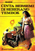 Cinta Bersemi di Seberang Tembok