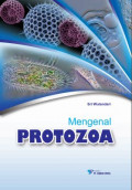 Mengenal Protozoa